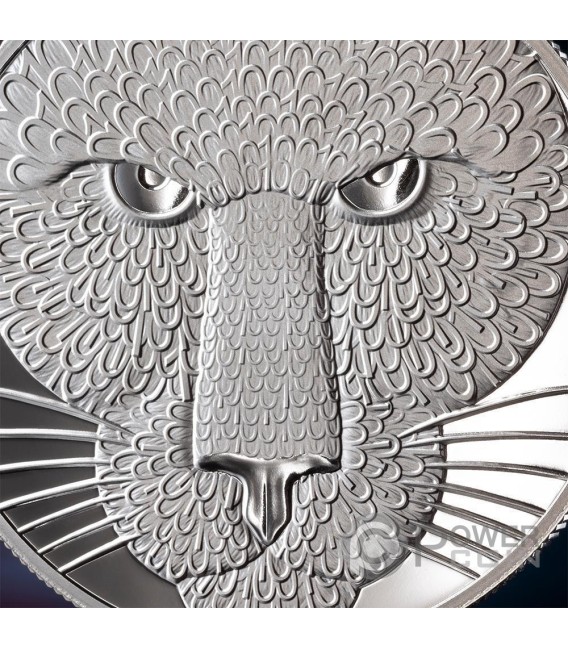 PUMA 1 Oz Silver Coin 1000 Satoshi United Crypto States 2025 — official product photograph 3